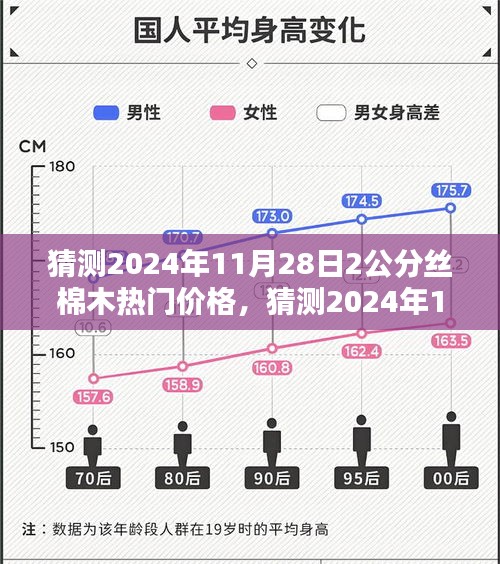 深度解析与预测，2024年丝棉木市场趋势及热门价格预测——聚焦丝棉木价格走向与未来趋势分析