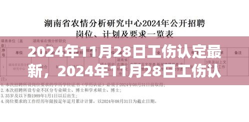 最新工伤认定动态解读与案例分析，聚焦2024年11月28日