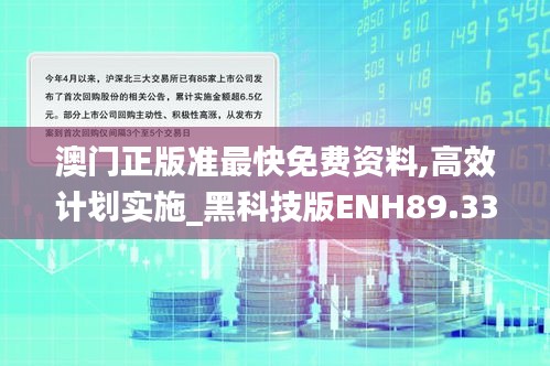 澳门正版准最快免费资料,高效计划实施_黑科技版ENH89.332