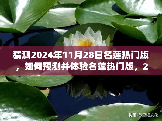 名莲热门版预测与体验指南，揭秘2024年11月28日的全面指南