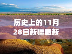 历史的11月28日，新疆疫情与心灵绿洲之旅