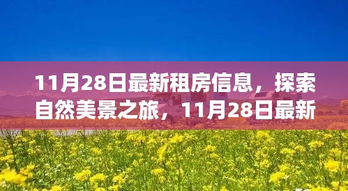 2024年11月 第7页