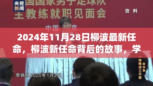 柳波新任命背后的故事，变化的力量与自信的燎原之火揭秘于2024年11月28日