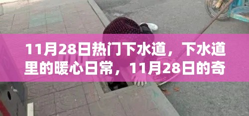 下水道里的暖心日常，11月28日的奇遇与温情