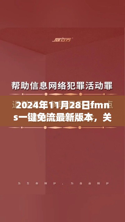 关于fmns一键免流最新版本在法律与个人立场下的探讨（2024年11月28日更新）