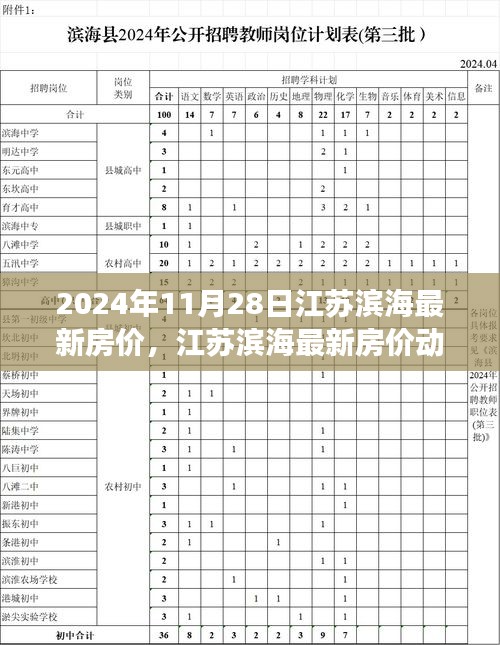 江苏滨海最新房价动态，深度观察与预测（2024年11月28日）