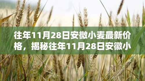 揭秘往年11月28日安徽小麦最新价格，初学者与进阶用户指南的农业市场分析报告分享！