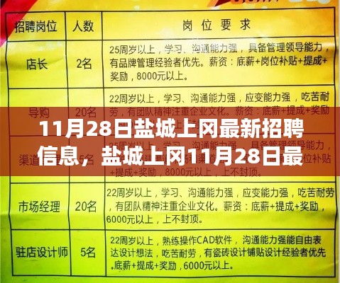 盐城上冈最新招聘启事，与自然共舞，启程心灵之旅（11月28日）