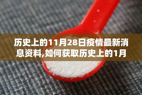 历史疫情消息获取指南，从1月28日至11月28日的疫情最新消息资料详解