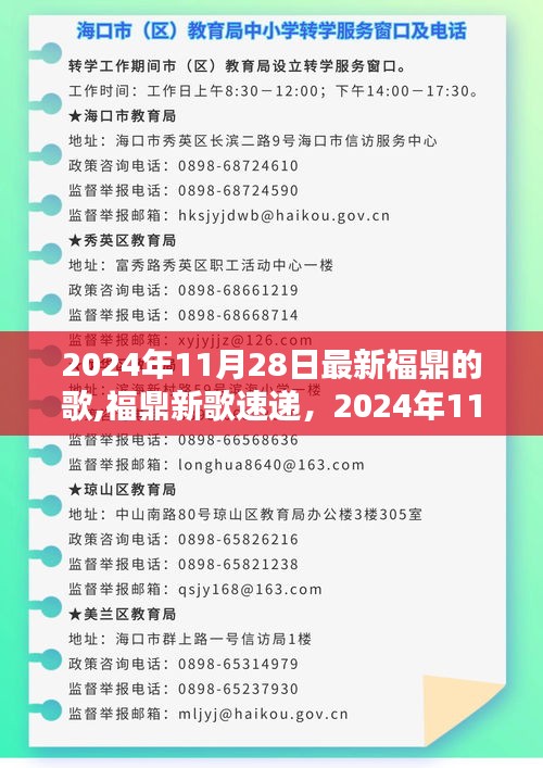 2024年11月28日福鼎新歌速递与流行趋势