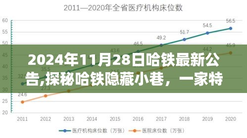 探秘哈铁隐藏小巷的特色小店，最新公告揭示非凡故事，2024年11月28日独家报道