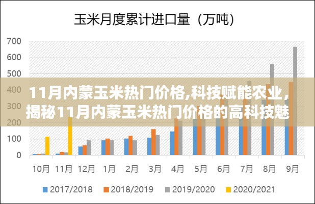 科技揭秘，11月内蒙玉米热门价格的魅力之源