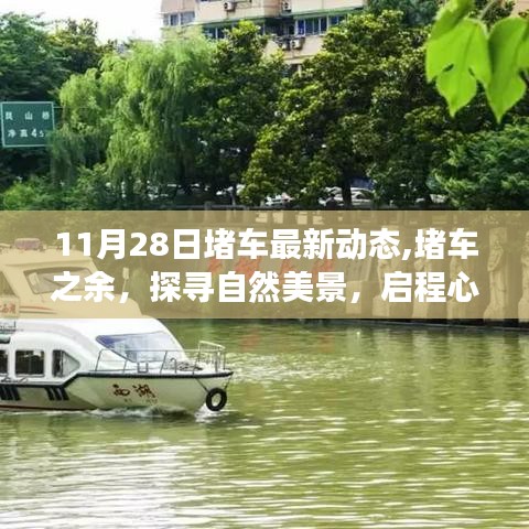 11月28日堵车新动态，探寻自然美景，启程心灵之旅堵车中的别样体验