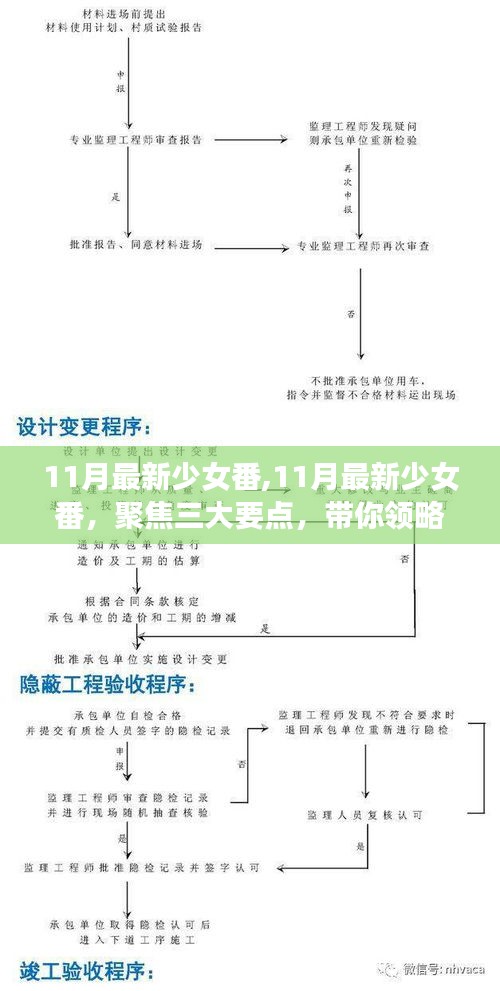 警惕涉黄风险，青春风采下的少女番聚焦三大要点，带你了解真实青春故事。