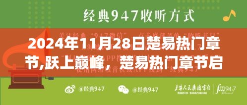 跃上巅峰，楚易热门章节启示录——学习力量与自信的魔法之旅（2024年11月28日）