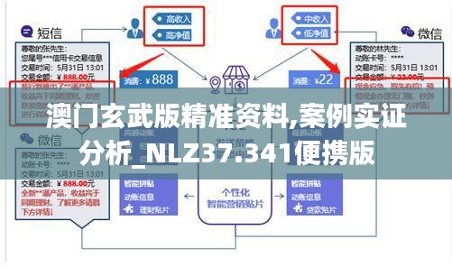 澳门玄武版精准资料,案例实证分析_NLZ37.341便携版