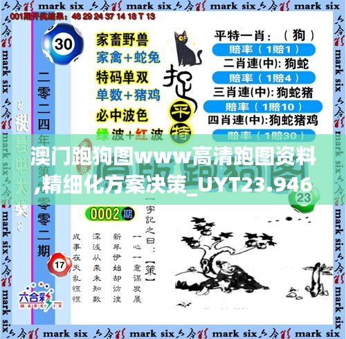 澳门跑狗图www高清跑图资料,精细化方案决策_UYT23.946外观版