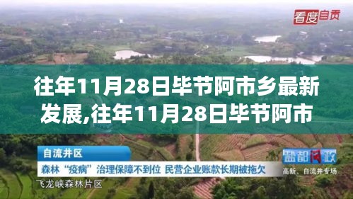 揭秘往年11月28日毕节阿市乡的发展脉络与深度探析，我的观点分享。