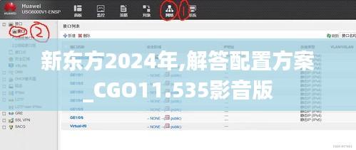 新东方2024年,解答配置方案_CGO11.535影音版