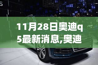 11月28日奥迪Q5最新消息全面解读，最新动态速递