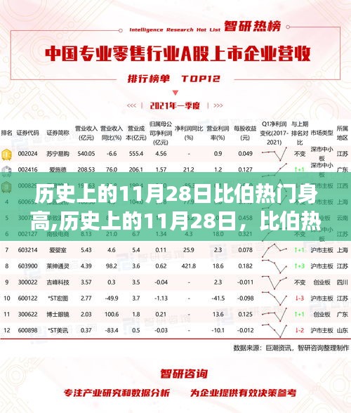 奇迹成长日，比伯背后的励志故事与身高背后的自信之路——历史上的11月28日