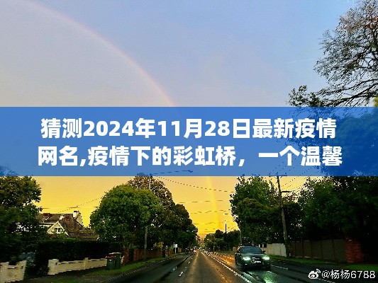 疫情彩虹桥下的温馨网名故事，预测2024年疫情时代的有趣网名演变