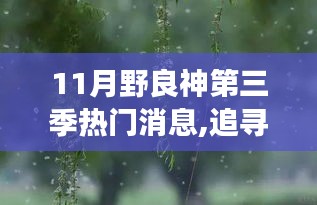 追寻自然秘境，野良神第三季带你启程十一月心灵之旅