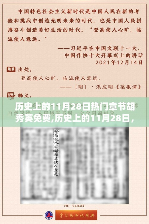 历史上的11月28日，胡秀英免费现象深度探讨及其影响分析