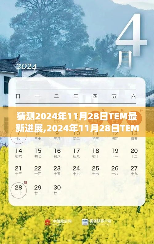 深度解析与多方观点碰撞，预测2024年11月28日TEM技术最新进展展望与探讨