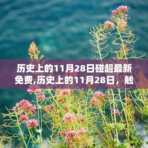 历史上的11月28日，触碰超越，免费世界的瞬间回眸