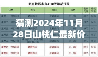 2024年12月2日 第40页