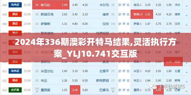 2024年336期澳彩开特马结果,灵活执行方案_YLJ10.741交互版