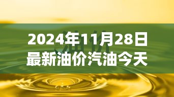 油价波动下的励志篇章，自信应对变化，成就未来梦想（2024年11月28日最新油价汽油今日动态）