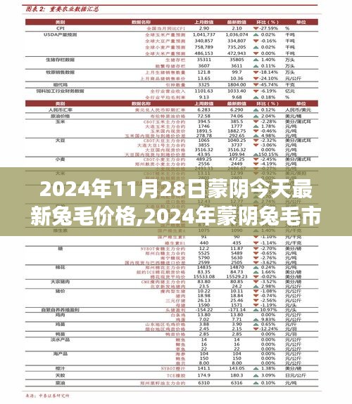 2024年蒙阴兔毛市场风云再起，最新价格动态与深度解读