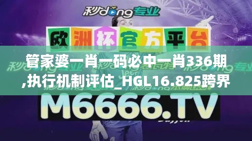 管家婆一肖一码必中一肖336期,执行机制评估_HGL16.825跨界版