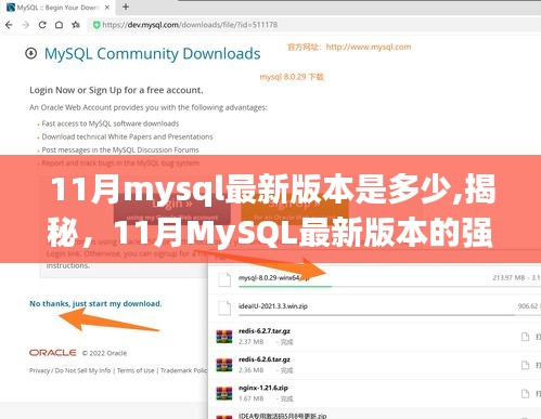 揭秘，MySQL最新版本的强大功能与优势（截至11月更新）