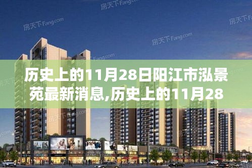 历史上的11月28日阳江市泓景苑最新动态深度分析与观点阐述