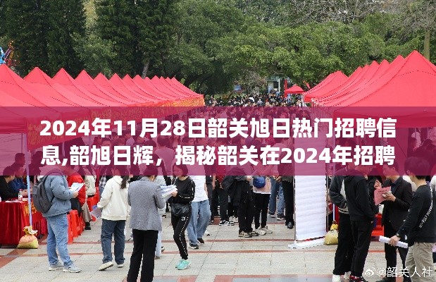 揭秘韶关招聘市场繁荣脉络，旭日热门招聘信息与韶旭日辉