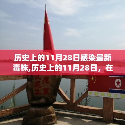 历史上的11月28日，疫情下的旅行与挑战，寻找内心的平静与美景之路