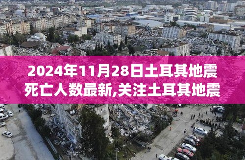 关注土耳其地震，最新死亡人数报告及关键要点解析（截至2024年11月28日）