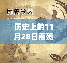 特别的11月28日，离殇之日的暖心相伴历程