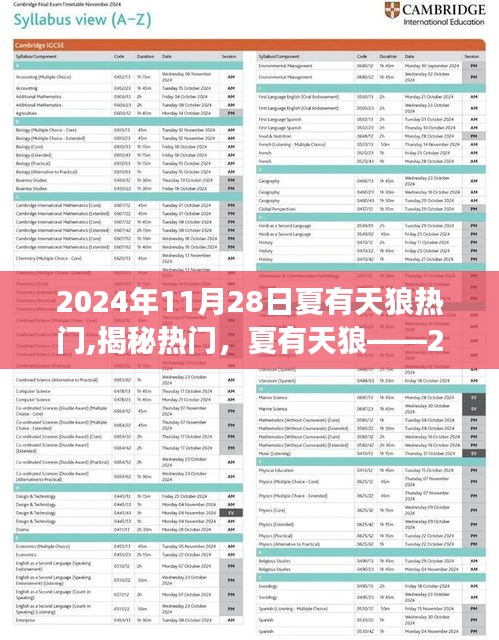 揭秘天文奇观，夏有天狼——2024年11月28日的独特天文现象