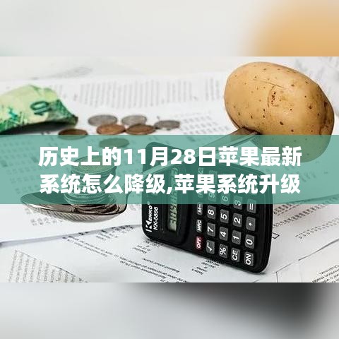 历史上的11月28日，苹果系统降级背后的故事与意外之旅的温馨回忆