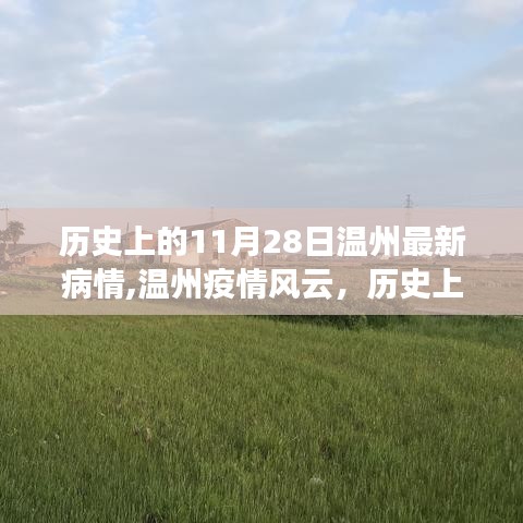 历史上的11月28日温州疫情回顾，最新疫情风云与影响分析