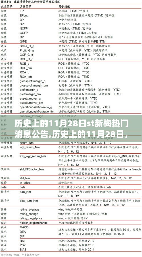 历史上的11月28日ST新梅热门消息公告揭秘，令人瞩目的探索之旅