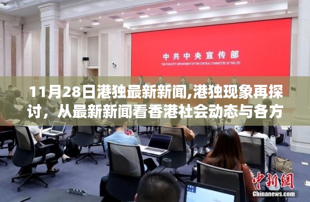 港独现象再探讨，香港社会动态与各方观点分析报道