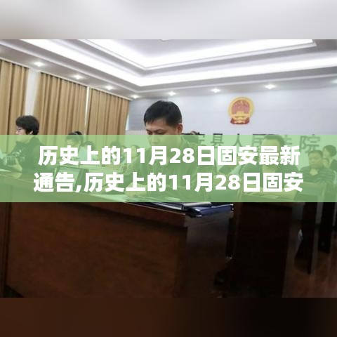 历史上的11月28日固安最新通告深度解析与观点阐述全览