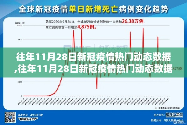 往年11月28日新冠疫情动态回顾与深度解析