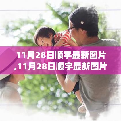 11月28日顺字最新图片，变化中的学习，激发正能量与幽默的力量，自信与成就感的源泉。