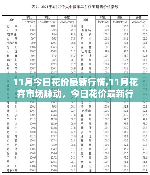 11月花卉市场脉动，今日花价最新行情深度解析